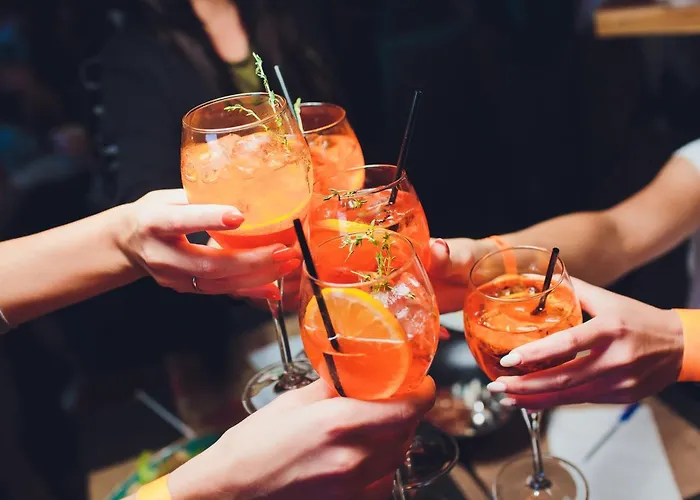 Ξενοδοχείο Alpine Boutique Wollee